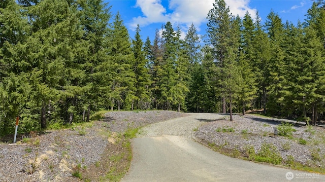 9 Salmon La Sac Hwy, Ronald, WA 98941