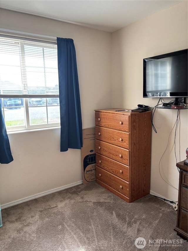239 SE H St, Ephrata, WA 98823 - bedroom with multiple windows, carpet, and baseboards