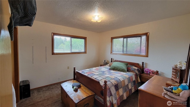 1296 US Highway 12, Chehalis, WA 98532 - bedroom with multiple windows and a textured ceiling