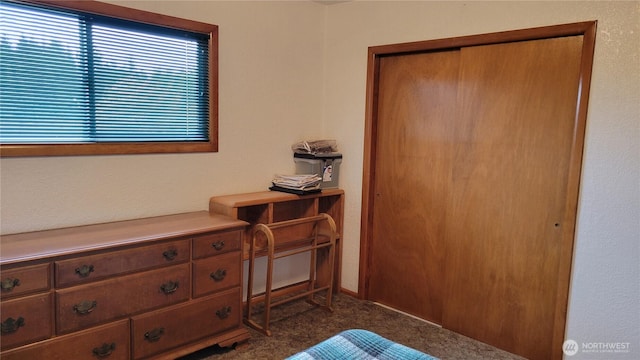 1296 US Highway 12, Chehalis, WA 98532 - bedroom featuring a closet and carpet floors