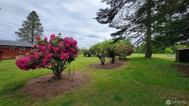 1296 US Highway 12, Chehalis, WA 98532 - view of green lawn