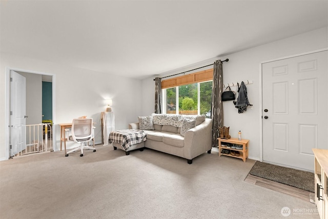 8450 Hazel Ct, Maple Falls, WA 98266 - living room featuring carpet flooring