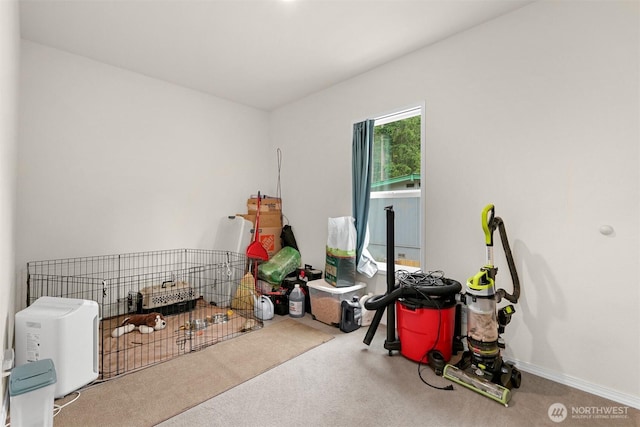 8450 Hazel Ct, Maple Falls, WA 98266 - interior space