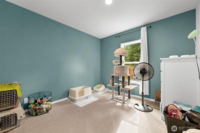8450 Hazel Ct, Maple Falls, WA 98266 - recreation room with baseboards