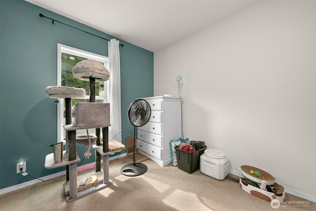 8450 Hazel Ct, Maple Falls, WA 98266 - workout room featuring carpet flooring and baseboards