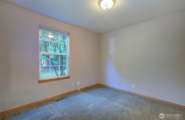 10010 NE 76th Cir, Vancouver, WA 98662 - spare room with carpet flooring