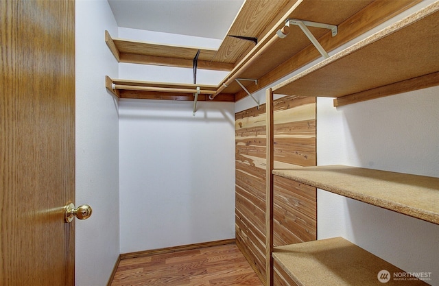 10010 NE 76th Cir, Vancouver, WA 98662 - spacious closet featuring light wood finished floors