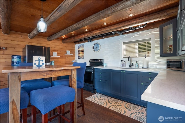 270 E Grapeview Point Rd, Allyn, WA 98524 - kitchen featuring appliances with stainless steel finishes, a sink, blue cabinets, light countertops, and wood ceiling with exposed beams