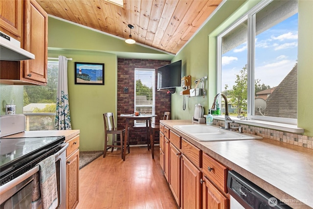 7005 Helweg Ln, Blaine, WA 98230 - kitchen with stainless steel range with electric cooktop, a sink, wooden ceiling, under cabinet range hood, and light wood finished floors