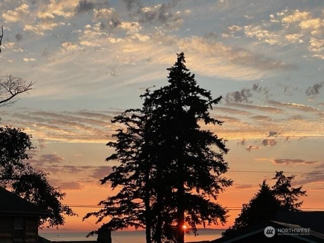 7005 Helweg Ln, Blaine, WA 98230 - view of nature at dusk