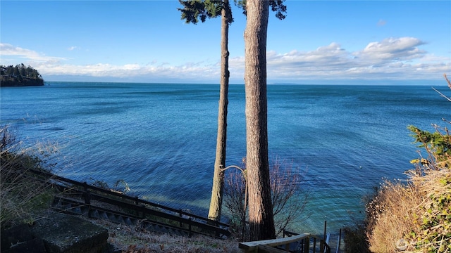 7005 Helweg Ln, Blaine, WA 98230 - water view