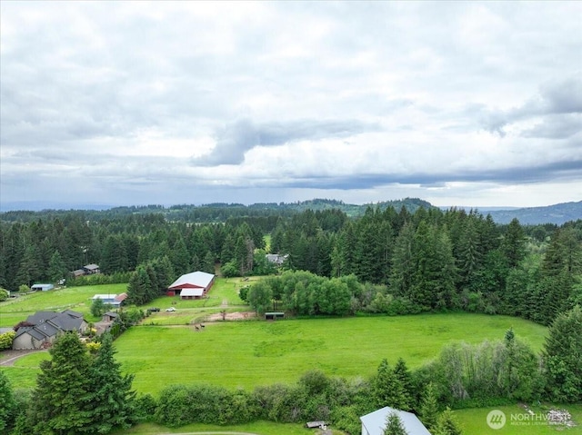 39310 NE 6th Ave, Woodland, WA 98674 - photo 40