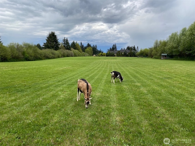 39310 NE 6th Ave, Woodland, WA 98674 - photo 3