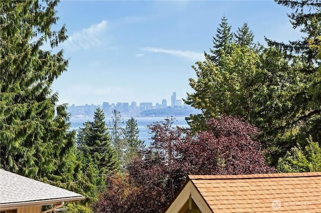 1360 Colchester Dr SE, Port Orchard, WA 98366 - view of mountain background with skyline and a nearby body of water