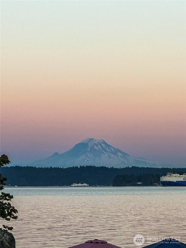 1360 Colchester Dr SE, Port Orchard, WA 98366 - water view with mountains