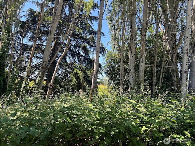 79XX Military Rd S, Seattle, WA 98108