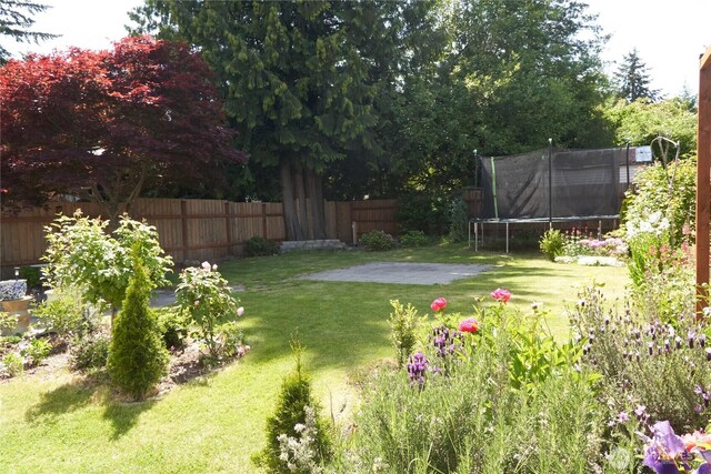 11433 12th Ave SW, Burien, WA 98146 - view of yard featuring a trampoline and a patio area