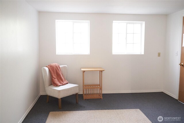 11433 12th Ave SW, Burien, WA 98146 - living area featuring plenty of natural light, carpet floors, and baseboards