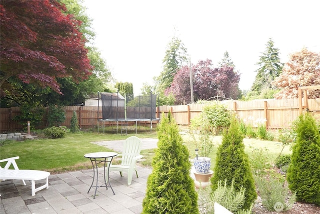 11433 12th Ave SW, Burien, WA 98146 - view of yard featuring a trampoline and a patio area