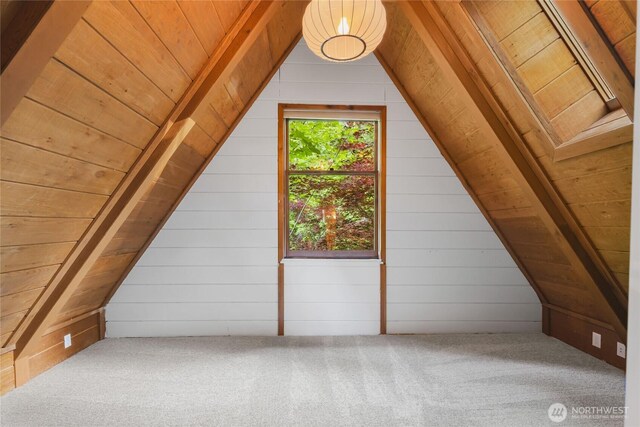 5617 236th Ave NE, Redmond, WA 98053 - additional living space with wood ceiling, wooden walls, and carpet floors