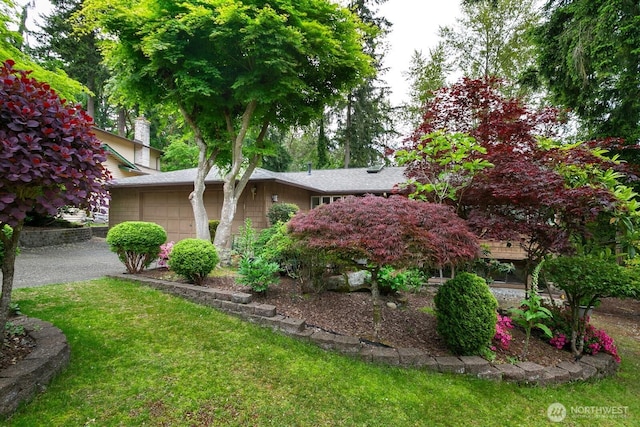 13219 SE 52nd Pl, Bellevue, WA 98006 - view of property exterior featuring an attached garage, a yard, and driveway