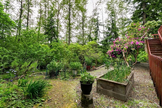 13219 SE 52nd Pl, Bellevue, WA 98006 - view of yard featuring a vegetable garden and stairs