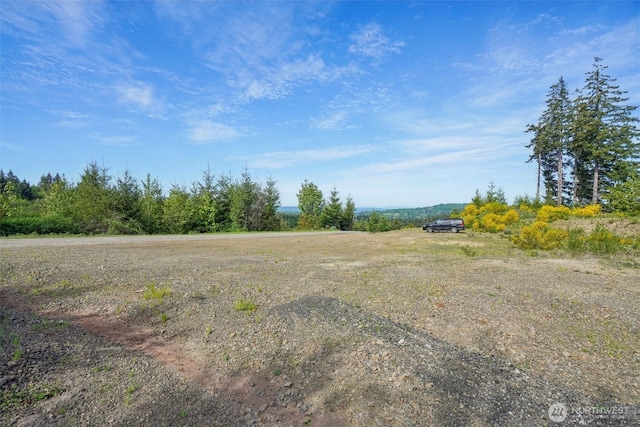 143 Bootjack Ln Lot 1, Kelso, WA 98626 - photo 2