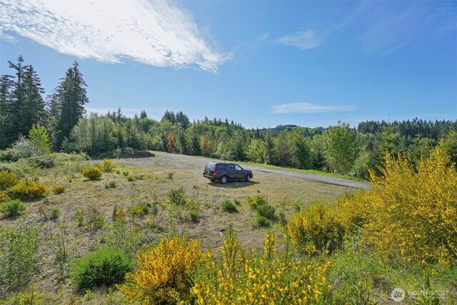 143 Bootjack Ln Lot 1, Kelso, WA 98626 - photo 3