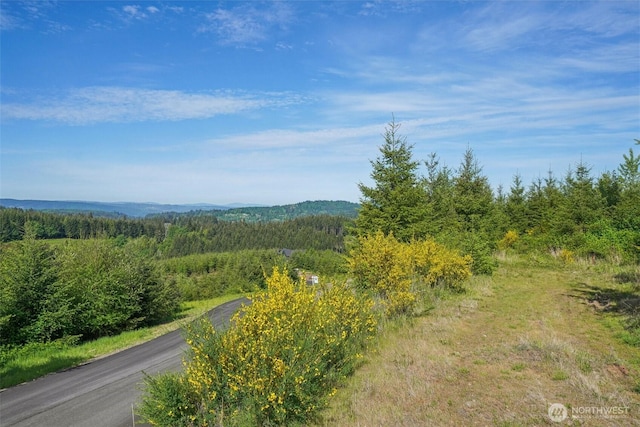 143 Bootjack Ln Lot 1, Kelso, WA 98626 - photo 4