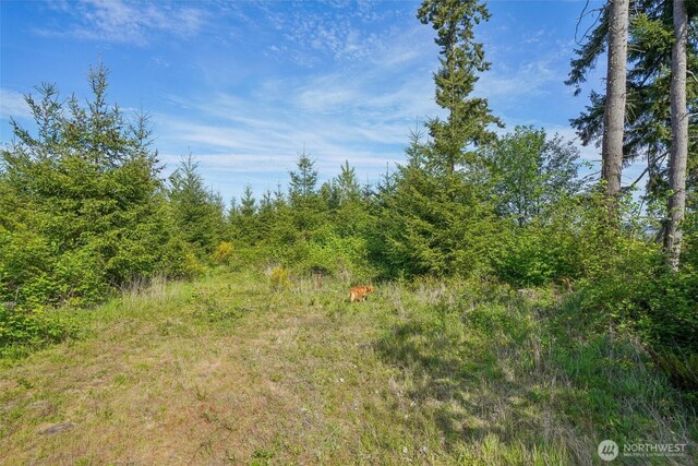 143 Bootjack Ln Lot 1, Kelso, WA 98626 - photo 5