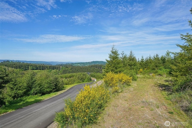 143 Bootjack Ln Lot 1, Kelso, WA 98626 - photo 7