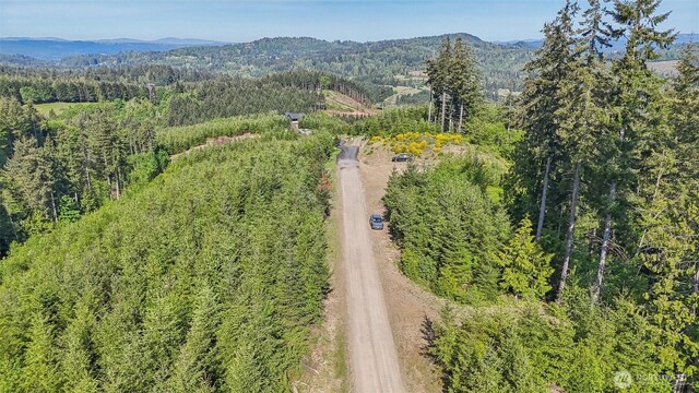 143 Bootjack Ln Lot 1, Kelso, WA 98626 - photo 8