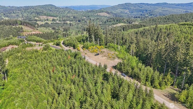 143 Bootjack Ln Lot 1, Kelso, WA 98626 - photo 9