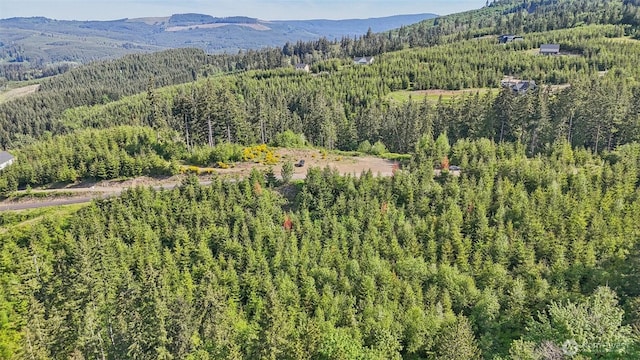 143 Bootjack Ln Lot 1, Kelso, WA 98626 - photo 10