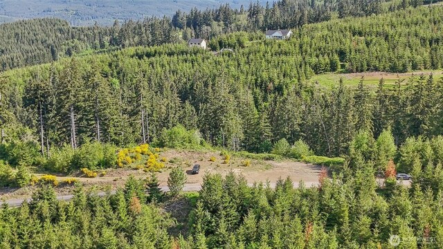 143 Bootjack Ln Lot 1, Kelso, WA 98626 - photo 11