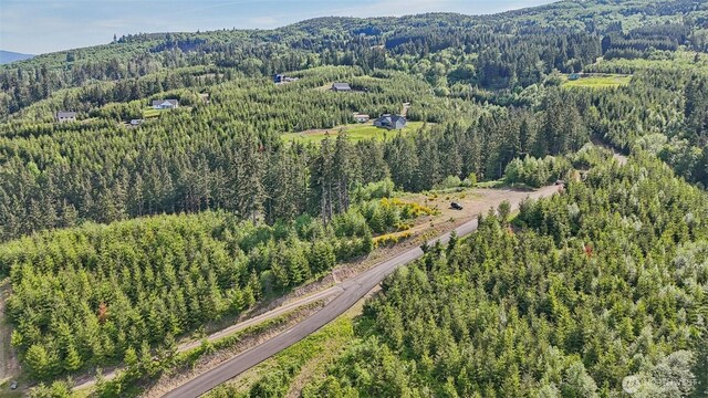 143 Bootjack Ln Lot 1, Kelso, WA 98626 - photo 12