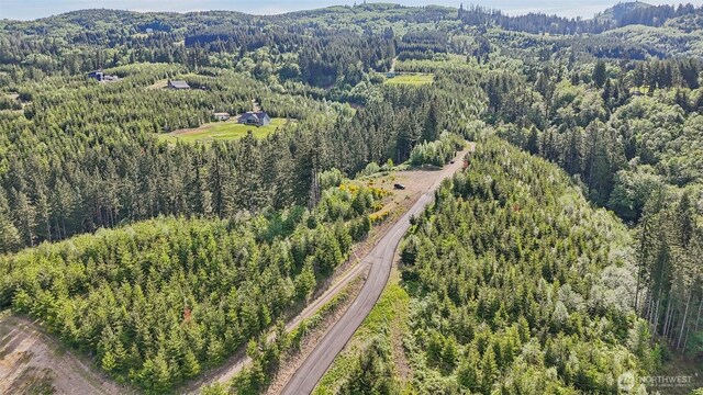 143 Bootjack Ln Lot 1, Kelso, WA 98626 - photo 13