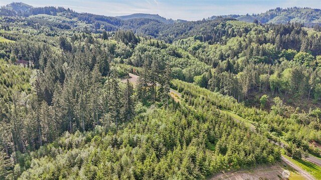 143 Bootjack Ln Lot 1, Kelso, WA 98626 - photo 15