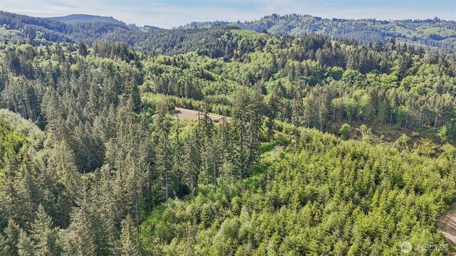 143 Bootjack Ln Lot 1, Kelso, WA 98626 - photo 16