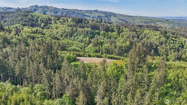 143 Bootjack Ln Lot 1, Kelso, WA 98626 - photo 17