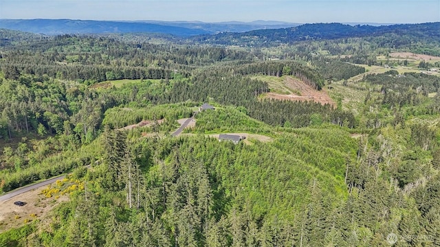 143 Bootjack Ln Lot 1, Kelso, WA 98626 - photo 19