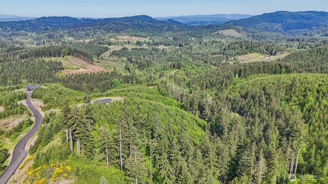 143 Bootjack Ln Lot 1, Kelso, WA 98626 - photo 20