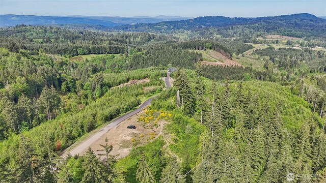143 Bootjack Ln Lot 1, Kelso, WA 98626 - photo 21