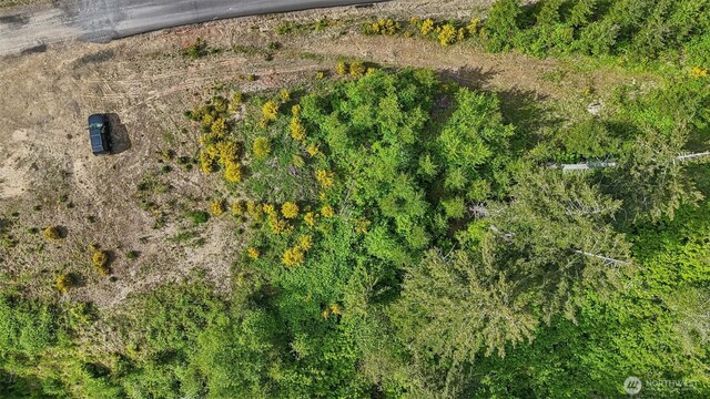 143 Bootjack Ln Lot 1, Kelso, WA 98626 - photo 23