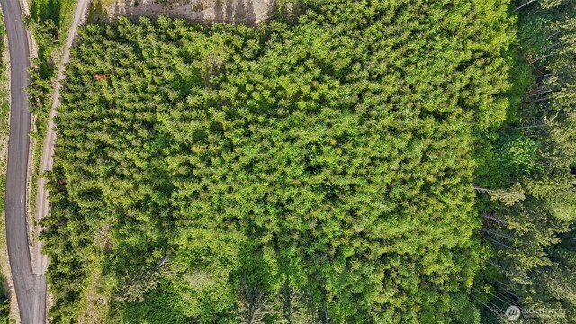 143 Bootjack Ln Lot 1, Kelso, WA 98626 - photo 24