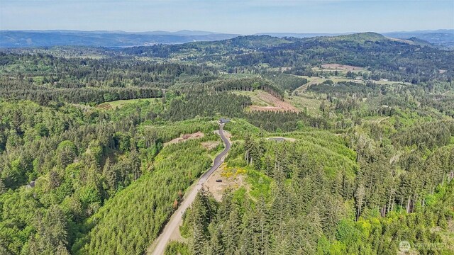 143 Bootjack Ln Lot 1, Kelso, WA 98626 - photo 25