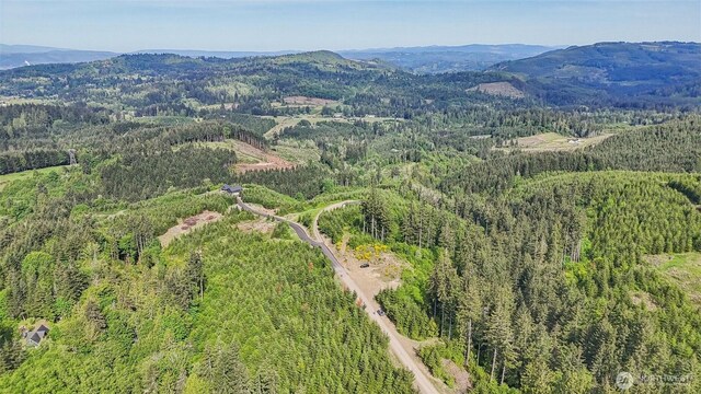 143 Bootjack Ln Lot 1, Kelso, WA 98626 - photo 26