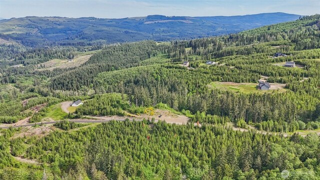 143 Bootjack Ln Lot 1, Kelso, WA 98626 - photo 27
