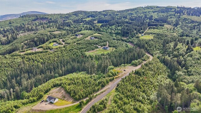143 Bootjack Ln Lot 1, Kelso, WA 98626 - photo 29