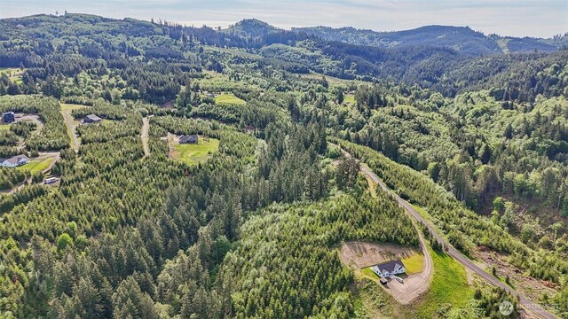 143 Bootjack Ln Lot 1, Kelso, WA 98626 - photo 30